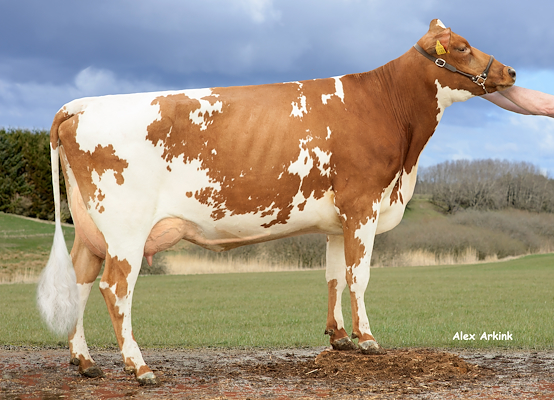 VR Haltia-datter fra Janne Mankamo, Pukkila