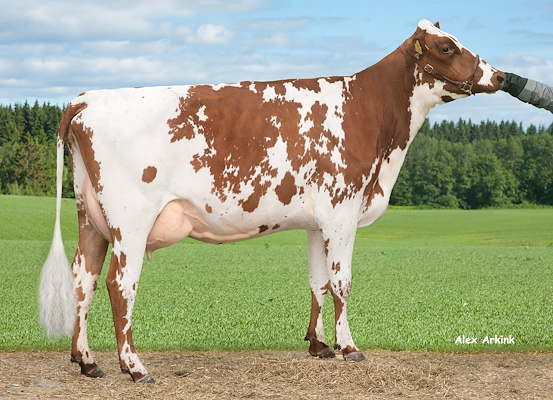 VR Flame-datter fra Annamari and Tuomo Torttila