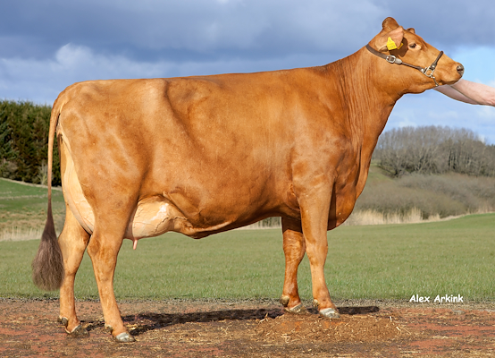 VR Haltia-datter fra Janne Mankamo, Pukkila