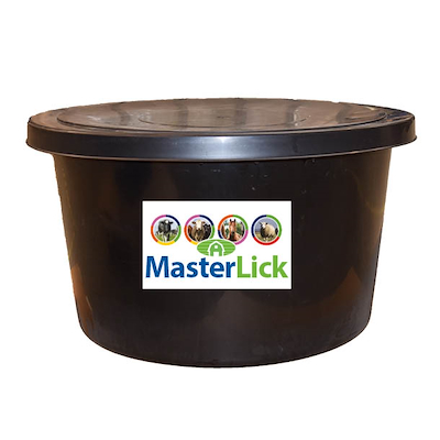 MasterLick-sort-balje.jpg