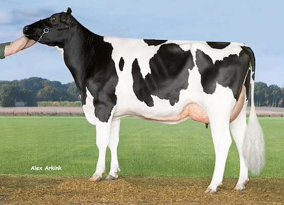 Mormor til Match P RC