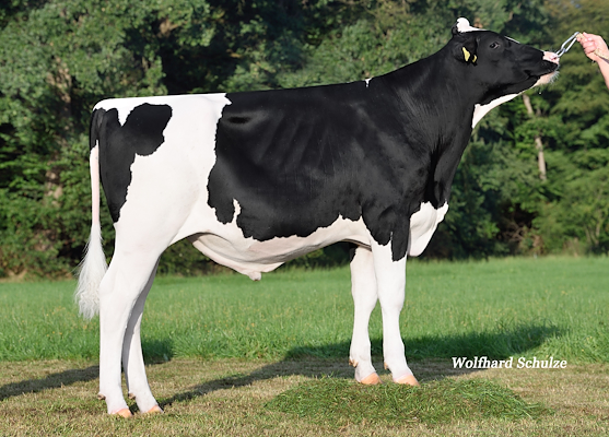 Metro (Merryguy) 266282.jpg