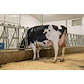 MGD GENOSOURCE BRAVO 47586-ET.jpg