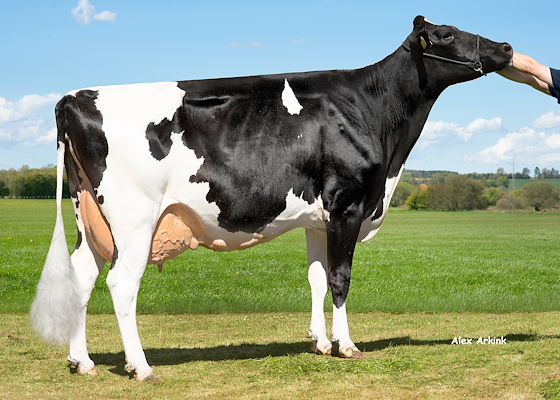 Mormor til VH Bambari fra Bjarne Madsen, Møldrup