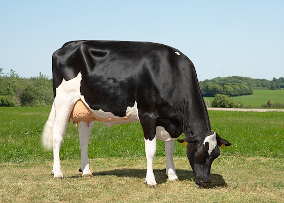 Mor til VH SavorPP fra I/S Spangsberg, Skjern