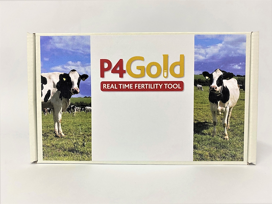 P4Gold - 25 stk..jpg