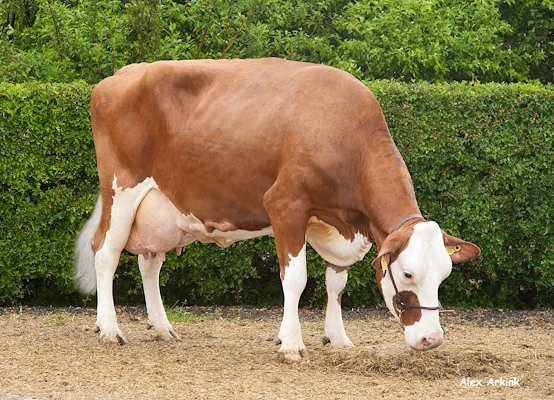 R Facet-datter fra Morten Hansen, Vrå