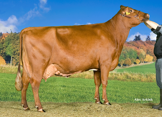 R Facet-datter fra Terkel Frandsen, Hobro