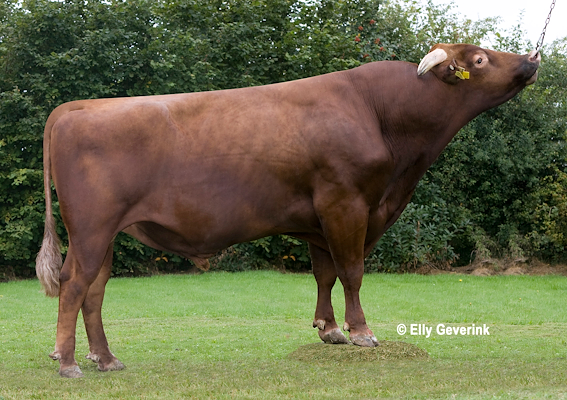 R Facet stb nr 36324.jpg