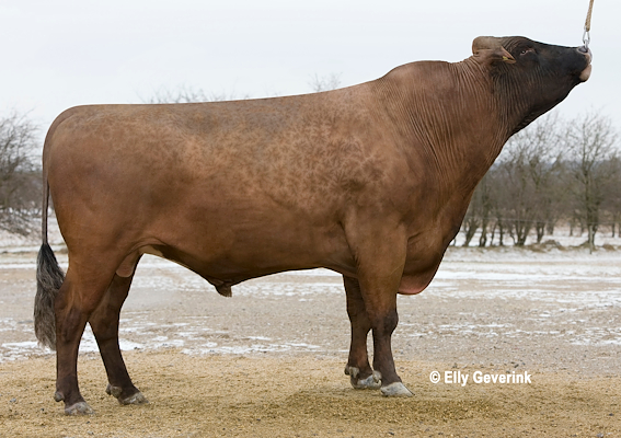 R Haslev no. 36558 (Orraryd).jpg