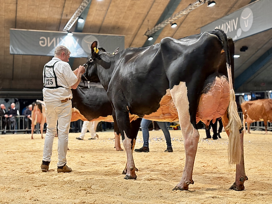 Mormor til VH Mads P fra Skovgård, Them