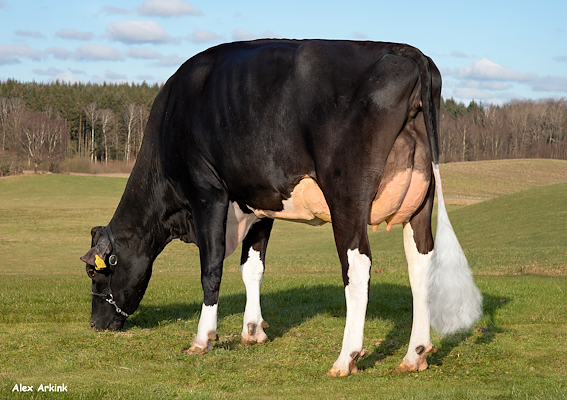 Tirsvad Sauna Claudia mor til VH KlasPPR