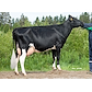 Vallilan Kanerva (D Etoto) dam of VH Highway, owner Iskola Oy .jpg