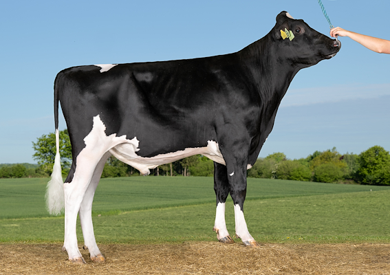 VH Anzac (VH Aladdin).jpg