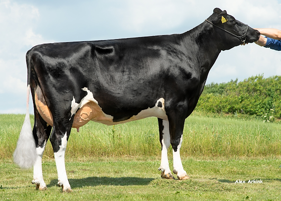 Mor til VH Appeal fra I/S Østergaard, Thyholm