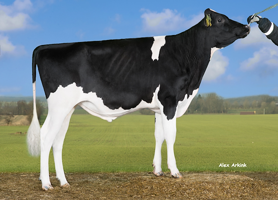 VH Balaton (VH Barkdal).jpg