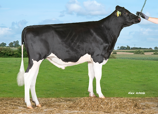 VH Baramas (VH Bernell).jpg