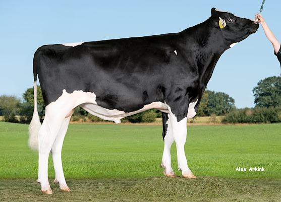 VH Barwish (VH Baramas).jpg