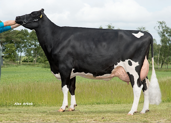 Mor til VH BassRed fra Solbakken Agro, Aabybro