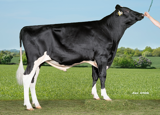 VH Belland (VH Baylor).jpg