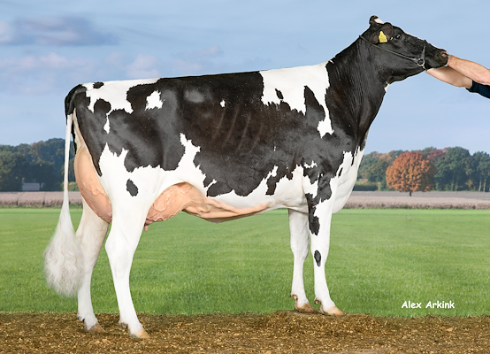 Mor til VH Bionic fra Risbak, Kjellerup