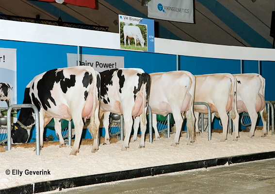 VH Bismark-døtregruppe Agromek 2012