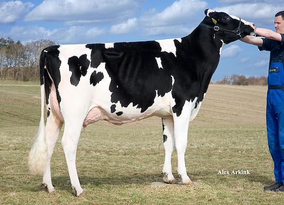 VH Bismark-datter fra Finn og Johan Høyer, Viborg