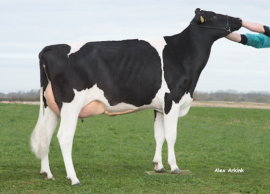 VH Booth-datter fra Henrik Graversen, Juelsminde