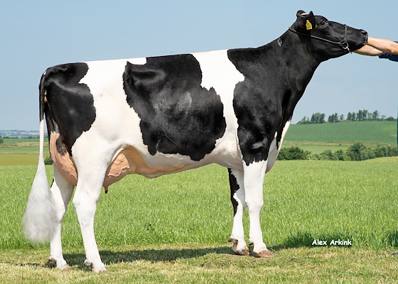 VH Bosman-datter fra Herman Iversen, Karby