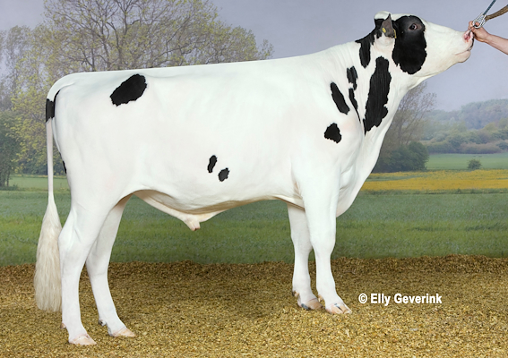 VH Bostrup no. 254438 (VH Bismark).jpg