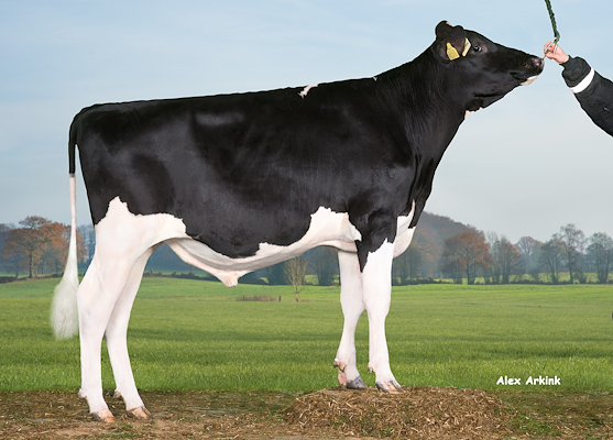 VH Botan (Barkeeper).jpg