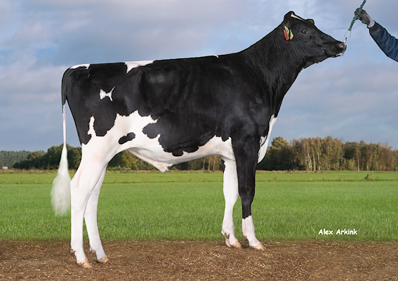 VH BurtPRC(VH BockoRC).jpg