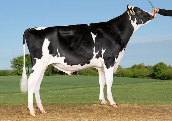 VH Caspian (VH Colt RC).jpg