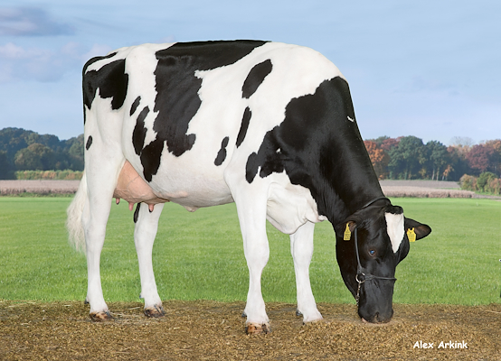 Mor til VH Chester fra Adolf F Bossen, Vennemose