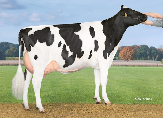 Mor til VH Chester fra Adolf F Bossen, Vennemose