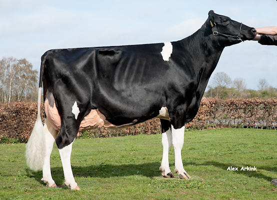 VH Clark-datter fra Graversen I/S, Juelsminde