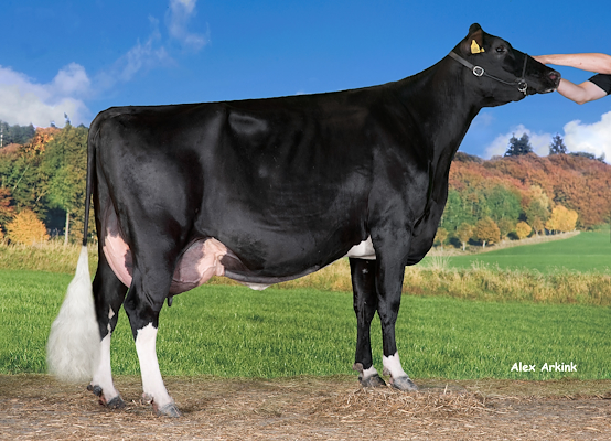 VH Clark-datter fra Laurits Jespersen, Nibe