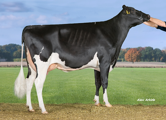 VH Clark-datter fra Øster Haunstrup, Herning