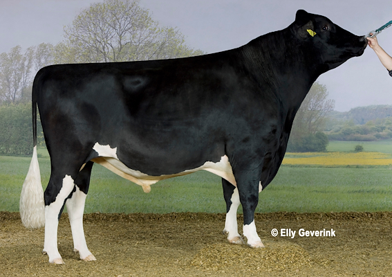 VH Clark no. 253555 (D Cole).jpg