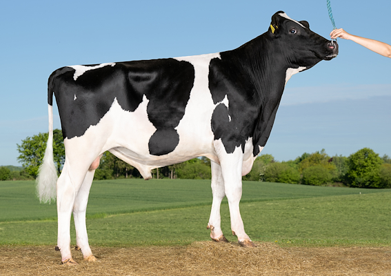 VH Colin RC (VH ColtRC).jpg