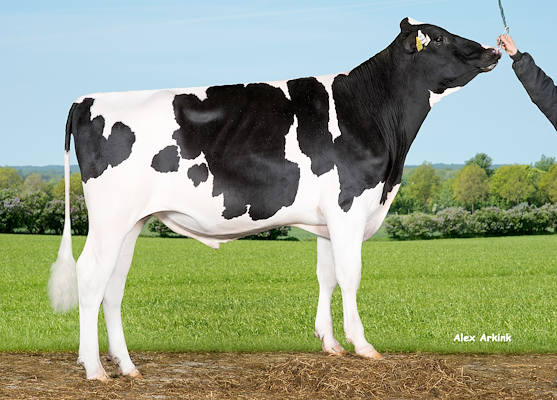 VH Drone P (Danner P).jpg