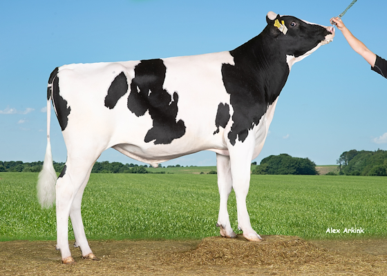 VH Dugan RC (VH Deco RC).jpg