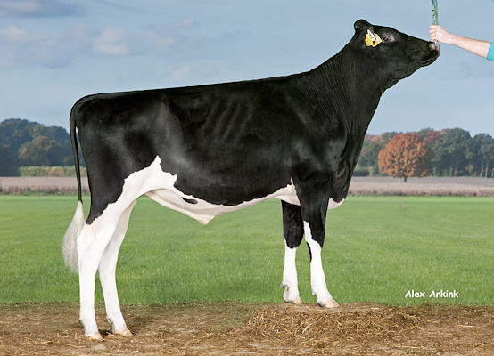 VH Fray RC no 430267 (Fageno).jpg