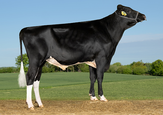 VH Gilmore (VH Gipsy).jpg