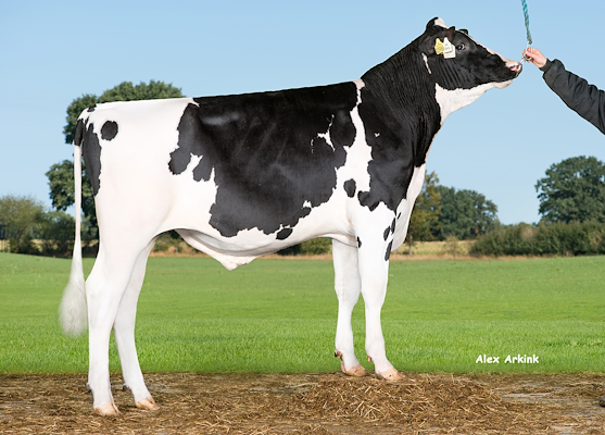 VH Glory (Gymnast).jpg