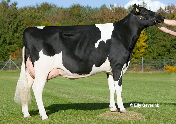 VH Grafit-datter fra Claus Jørgensen, Nørager