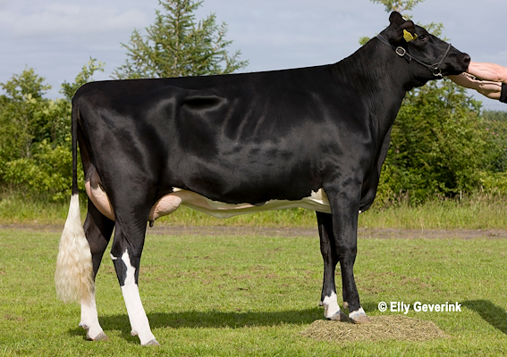 VH Grafit-datter fra Anton Hammershøj, Hobro