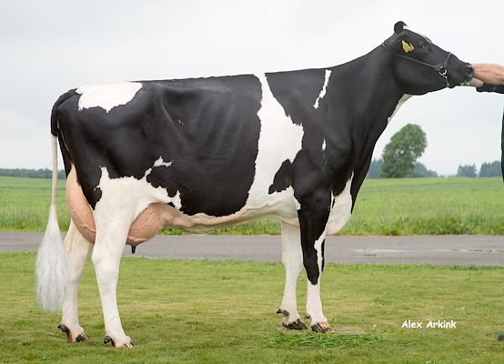 VH Grafit-datter fra Jan Nygaard Larsen, Frederikshavn