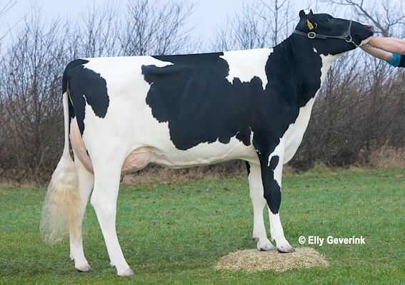 VH Grafit-datter fra Gram og Nybøl Godser A/S, Gram