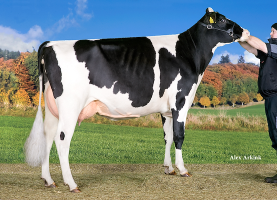 VH Grafit-datter fra Raunhøj Dairy, Hjortshøj